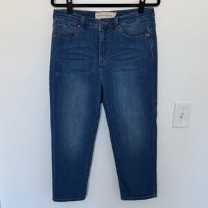 Soft Surroundings Blue Jeans - Size 14P